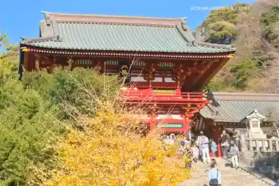 鶴岡八幡宮(神奈川県)