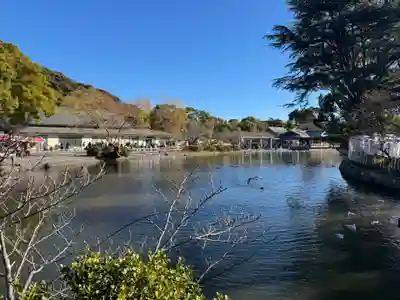 鶴岡八幡宮(神奈川県)