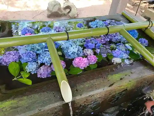 高山稲荷神社の手水