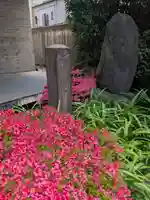 威光院(東京都)
