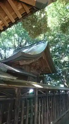丹生神社の本殿・本堂