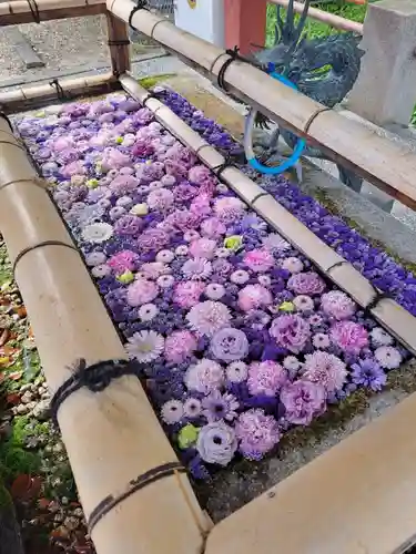 津島神社(愛知県)