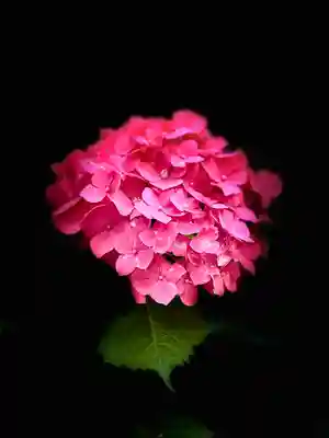 生田神社(兵庫県)