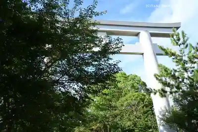 寒川神社(神奈川県)