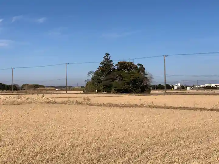 若宮八幡神社(千葉県)