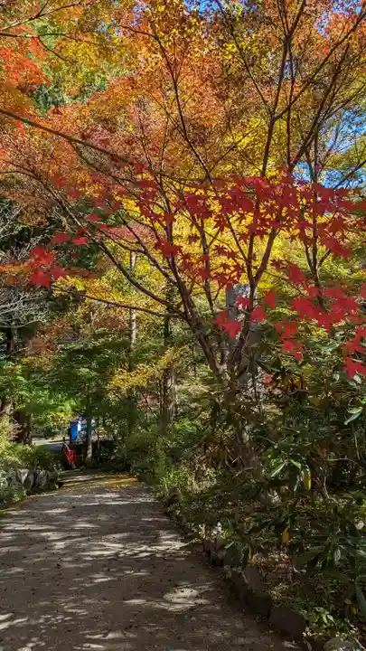神藏寺(京都府)