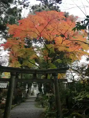 五所駒瀧神社の鳥居