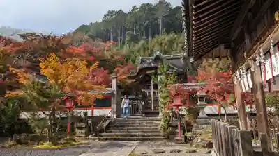 鍬山神社(京都府)