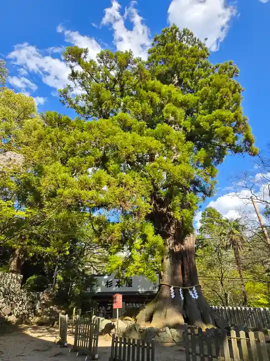 筑波山神社(茨城県)