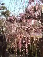 綱敷天満宮の自然