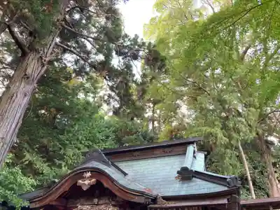胎安神社(茨城県)