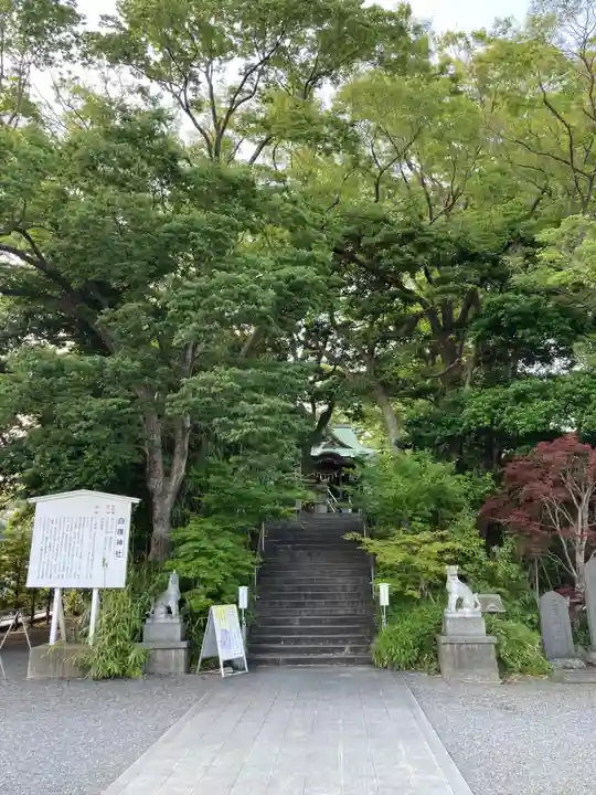 白旗神社(神奈川県)