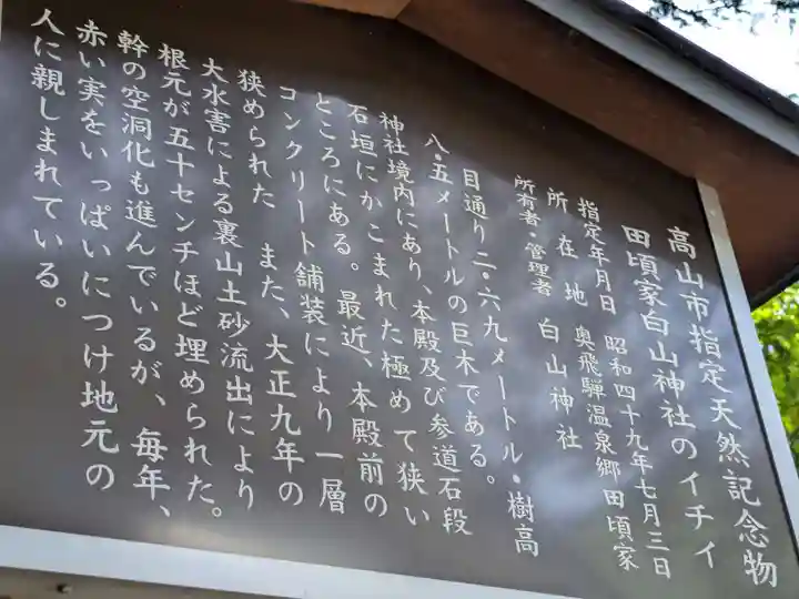 白山神社(岐阜県)