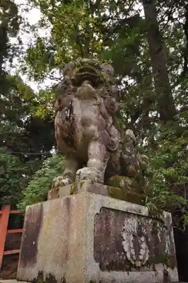 春日大社(奈良県)