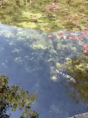 根道神社(岐阜県)