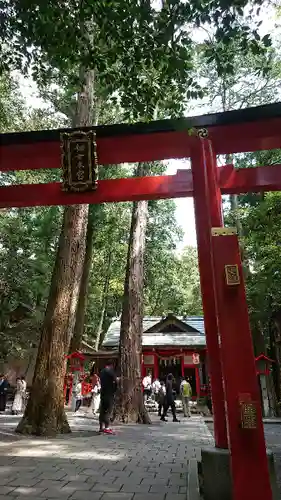 椿大神社の鳥居