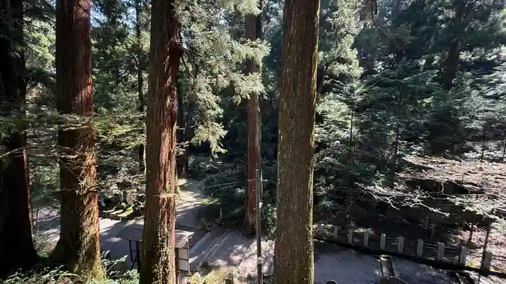 最乗寺(道了尊)(神奈川県)