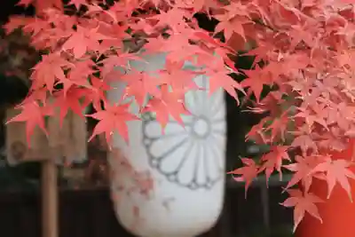 賀茂御祖神社（下鴨神社）のその他建物