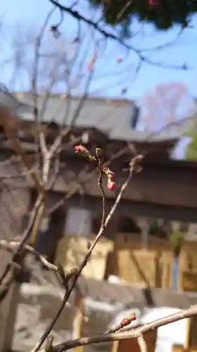 相馬神社(北海道)