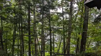 糠平電源神社の自然