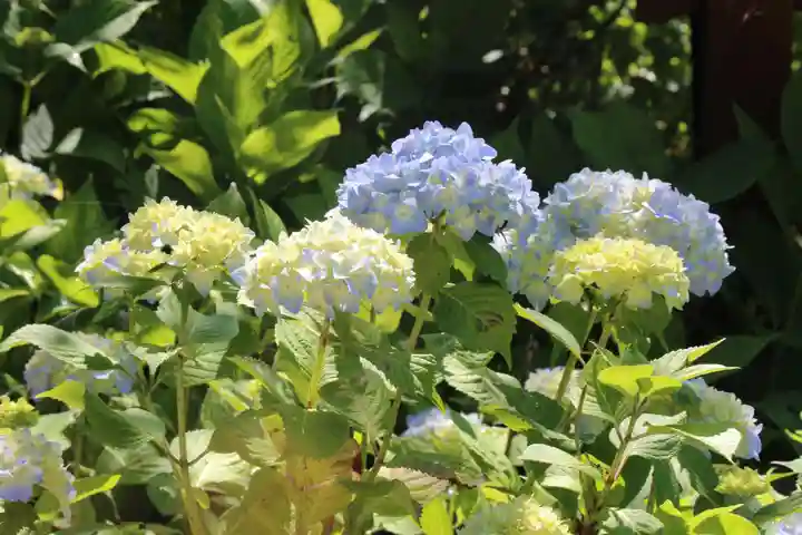 国宝 大法寺(長野県)