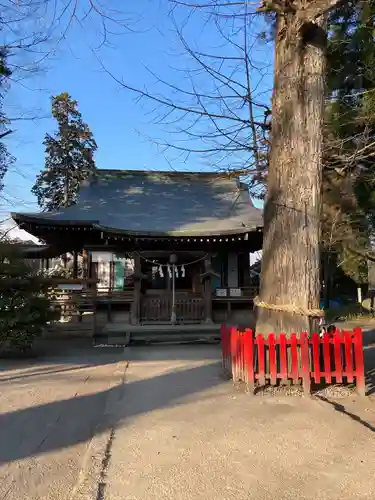 八坂神社（葛生町）(栃木県)