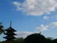 東寺(教王護国寺)の塔