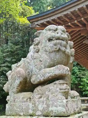 白山神社の狛犬