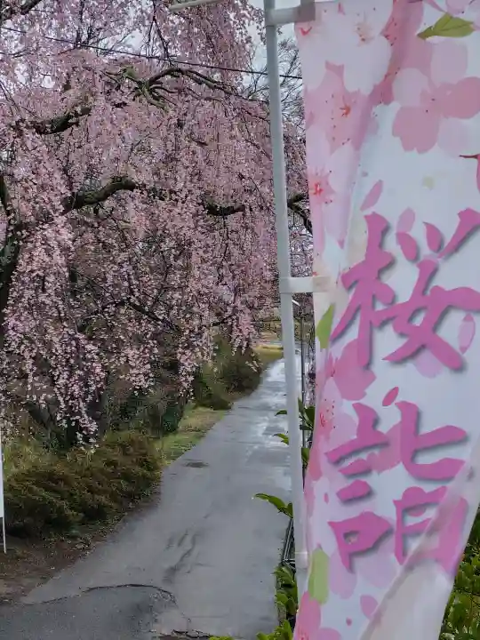 鏡石鹿嶋神社 *安産・開運・勝利の神さま*の{uncategorized: "未分類", other: "その他", undefined: "問題あり", building: "その他建物", grave: "お墓", sacred_gate: "鳥居", guardian: "狛犬", statue: "像", buddha: "仏像", history: "歴史", nature: "自然", garden: "庭園", animal: "動物", pagoda: "塔", temizu: "手水舎", mountain_gate: "山門・神門", sanctuary: "本殿・本堂", subordinate: "末社・摂社", art: "芸術", scenery: "景色", jizo: "地蔵", ema: "絵馬", goshuin: "御朱印", omikuji: "おみくじ", items: "授与品その他", amulet: "お守り", goshuincho: "御朱印帳", eats: "食事", festival: "お祭り", votive_dance: "神楽", shichigosan: "七五三参", wedding: "結婚式", experience: "体験その他", initially: "初詣", around: "周辺", anti_infection: "感染症対策"}