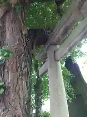 牛嶋神社の鳥居