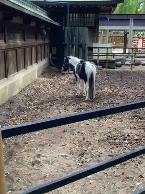 平塚八幡宮(神奈川県)