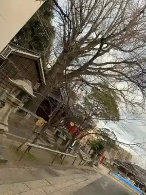 天御中主神社のその他建物