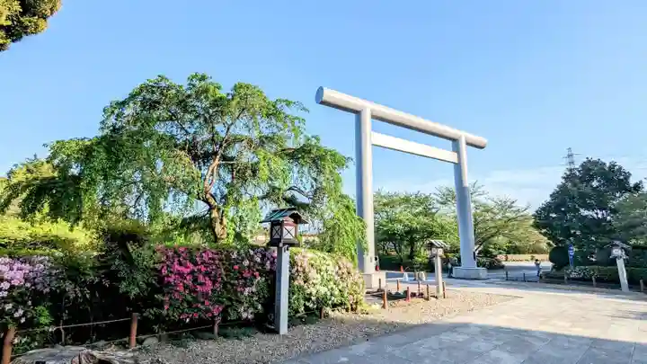 櫻木神社の鳥居
