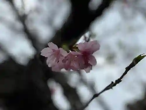 出雲大社沖縄分社の自然