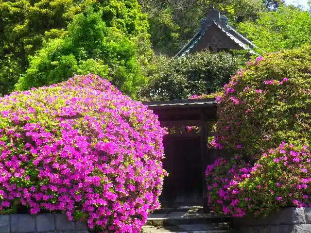 安養院 (田代寺)の自然