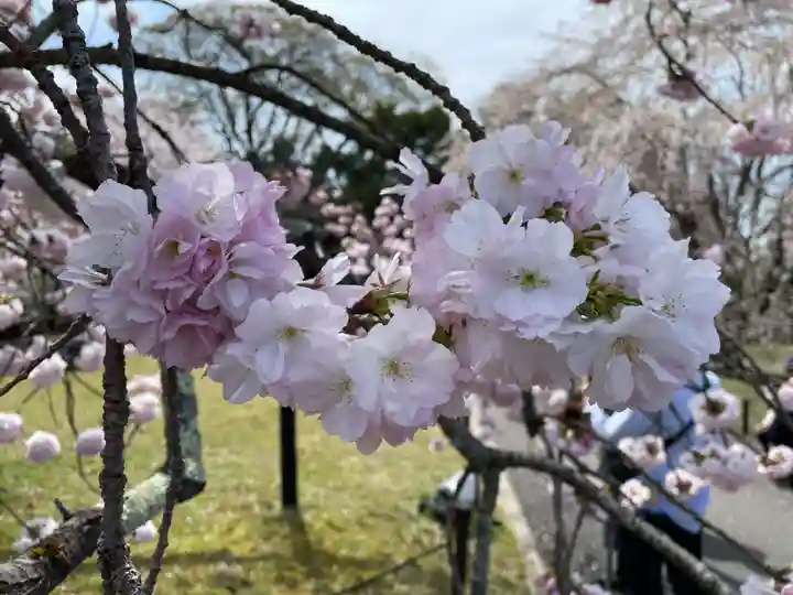 宝聚院(京都府)