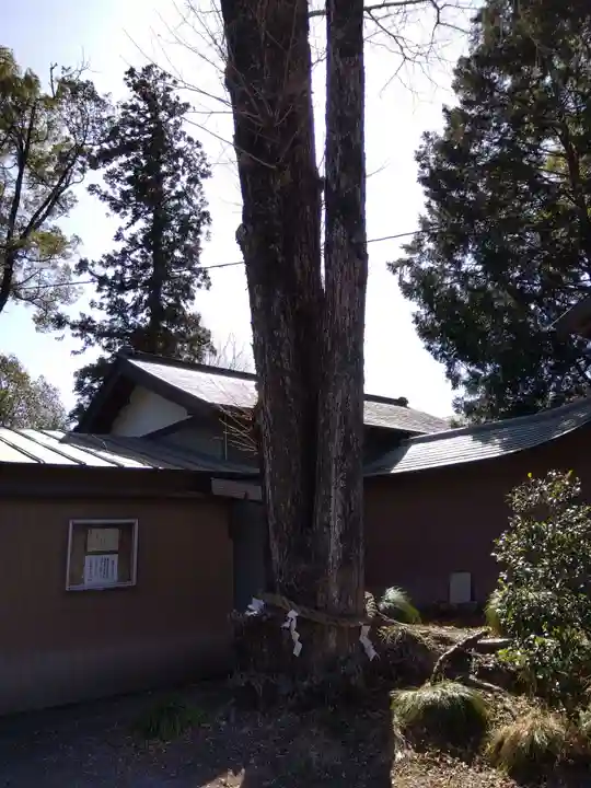 三嶋神社(静岡県)