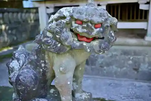 稲取八幡神社の狛犬