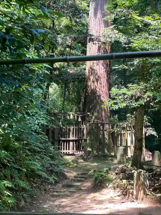 八重垣神社(島根県)