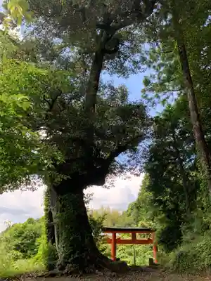 日枝神社のその他建物