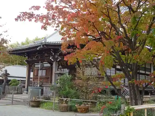 妙蓮寺の本殿・本堂