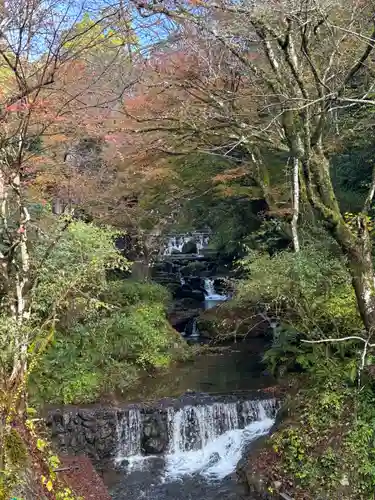 貴船神社結社(京都府)