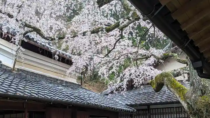 十輪寺(京都府)