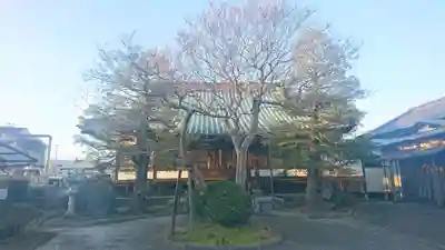 妙隆寺の本殿・本堂