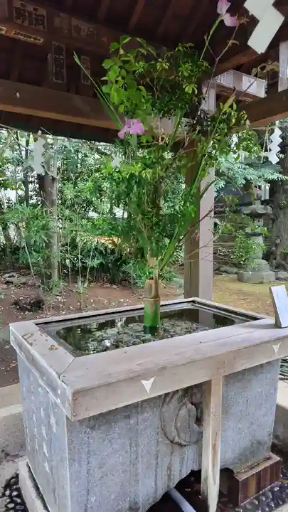 赤坂氷川神社(東京都)