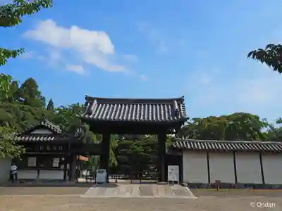 醍醐寺(京都府)