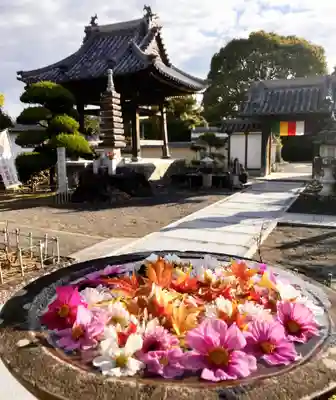 真言宗　善通寺派　薬王寺(香川県)