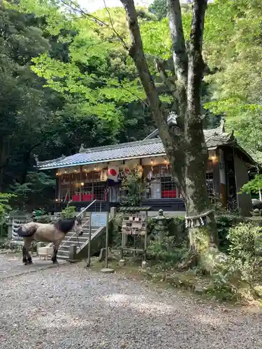 吉川八幡神社の本殿