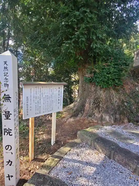 無量院(蓮華寺)の自然