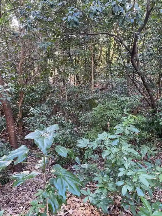 八事山 興正寺の自然